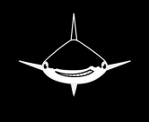 Аватар для Black*Sharki