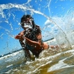 Аватар для Юлиана Ветрова